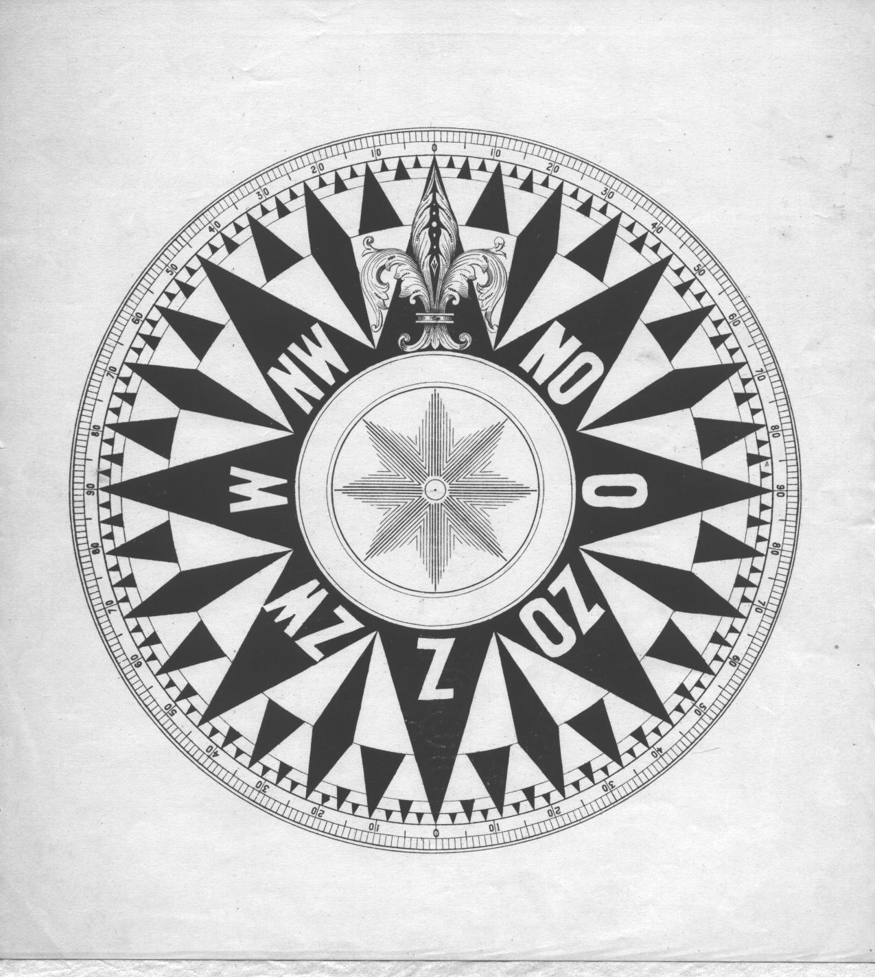 kompasroos1.jpg - 264.65 Kb